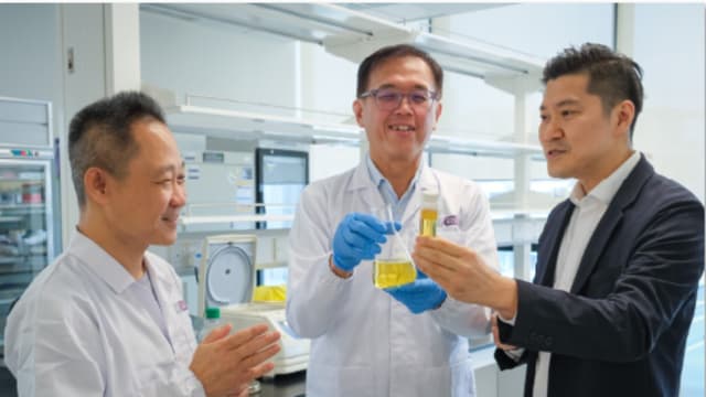 南大研发口服肠道控脂化合物 有助减少脂肪吸收与脂肪肝风险