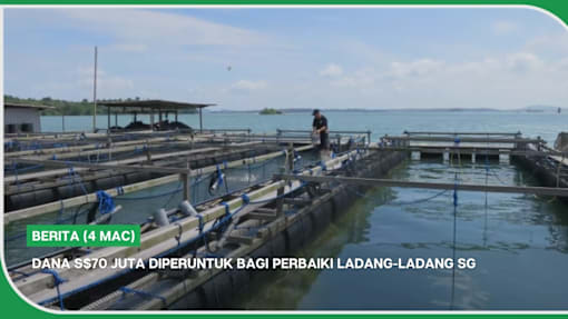 BERITA (4 Mac) | Dana S$70 juta diperuntuk bagi perbaiki ladang-ladang SG