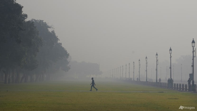 Air pollution and politics pose cross-border challenges in South Asia