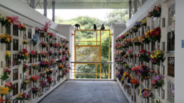 清明节开车前往骨灰瓮安置所 需先上网预约