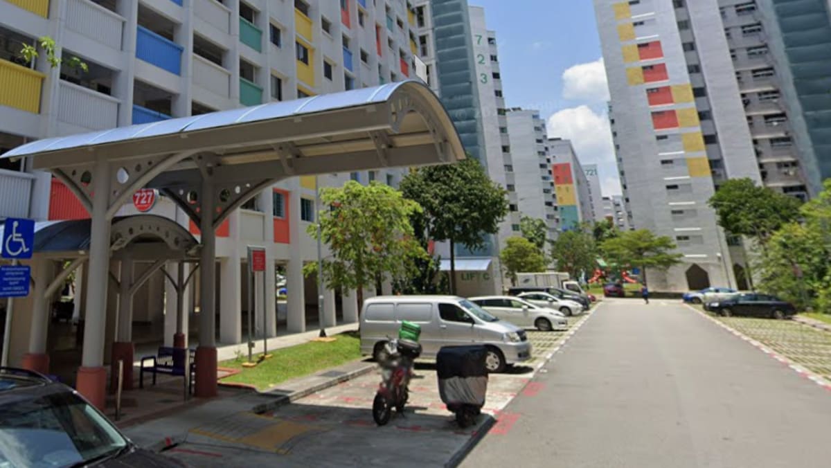 Woman, 67, charged with feeding pigeons near various HDB blocks in Yishun