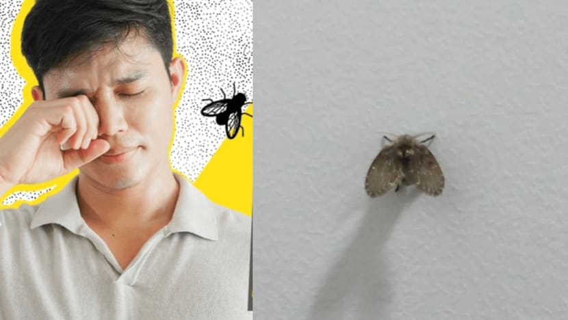 Man Swats Drain Fly Then Rubs Eye, Ends Up Losing An Eyeball To Severe Infection