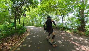 Singapore's Green Connection