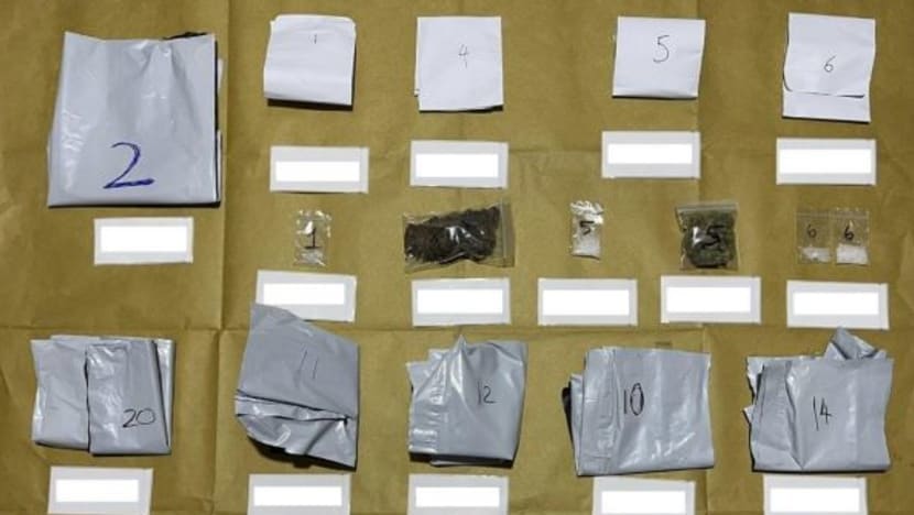 Adik beradik berusia 17 & 25 tahun diberkas di Jurong West; disyaki terbabit kesalahan dadah