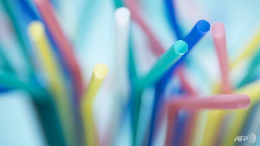 South Australia bans plastic drinking straws and stirrers