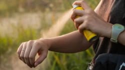 Related article image