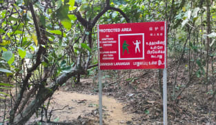 Man suffers gunshot wound while cycling in restricted forested area near SAF live-firing activity
