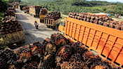 Malaysia accelerates biodiesel mandate to B15 from June, targets B50 within three years — image 6