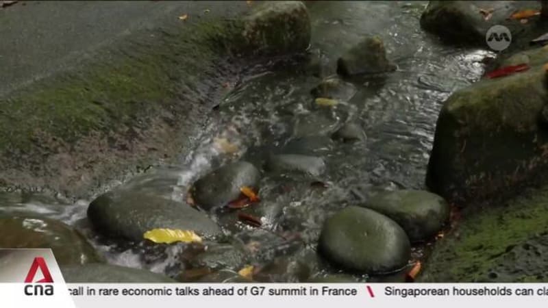 150-metre trial in Botanic Gardens aims to encourage mindful engagement with nature
