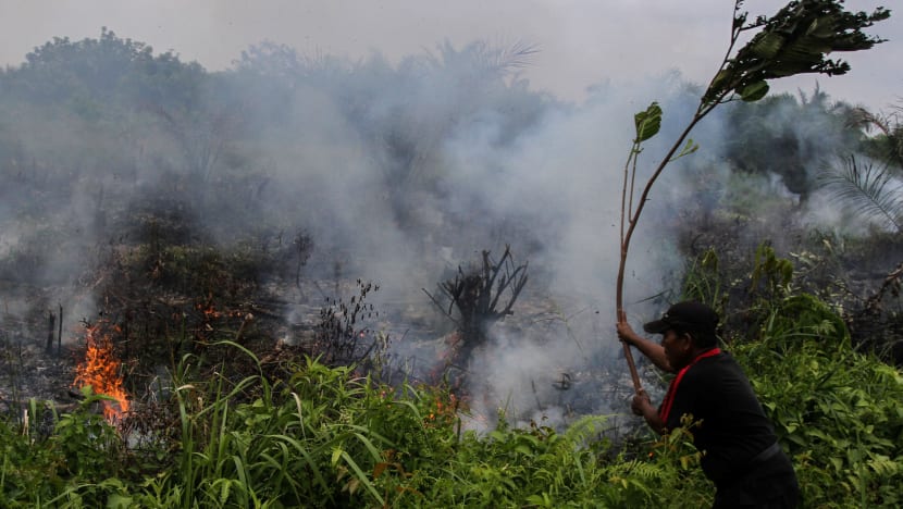 Disaster alert declared in four Indonesian provinces as forest fire threat looms
