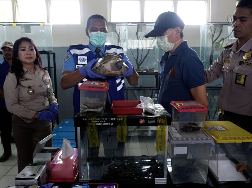Indonesian custom officers displaying a Japanese citizen and reptiles at custom offices near Jakarta International airport on May 16, 2017. Photo: AFP
