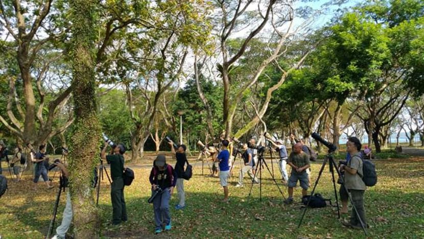 Nature under stress from photography boom