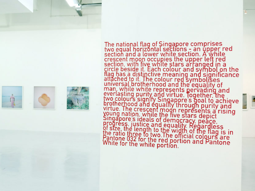 Art review: TwentyFifteen.sg | Singapore Survey 2015