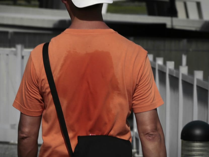 The Meteorological Service Singapore said that the Republic experienced a dry spell — defined as a period of at least 15 consecutive days with daily total rainfall of less than 1mm — of 17 consecutive days from July 31 to Aug 16.