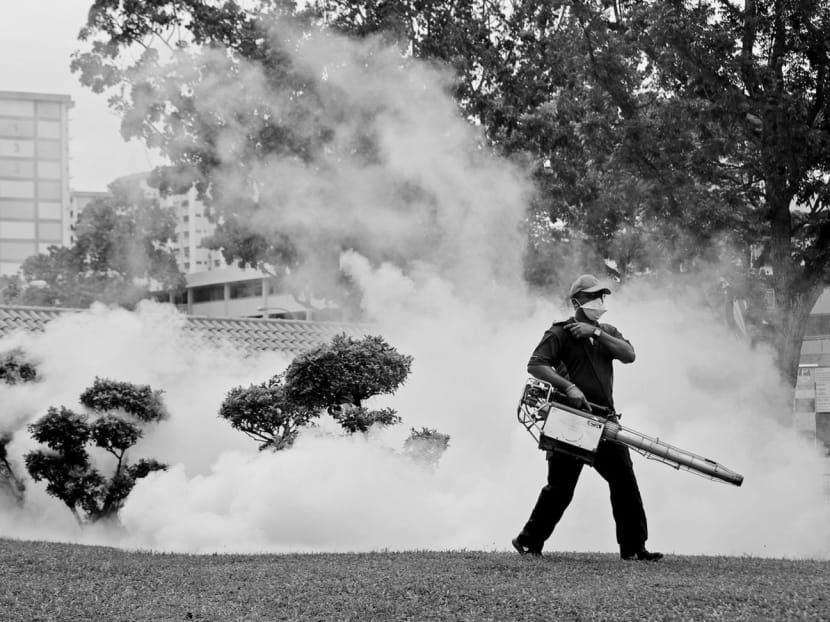 With clusters emerging in different parts of Singapore, there is little hope of stamping out the Zika virus. Photo: AP
