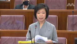 Committee of Supply 2021 debate, Day 5: Sim Ann on new model of municipal service delivery