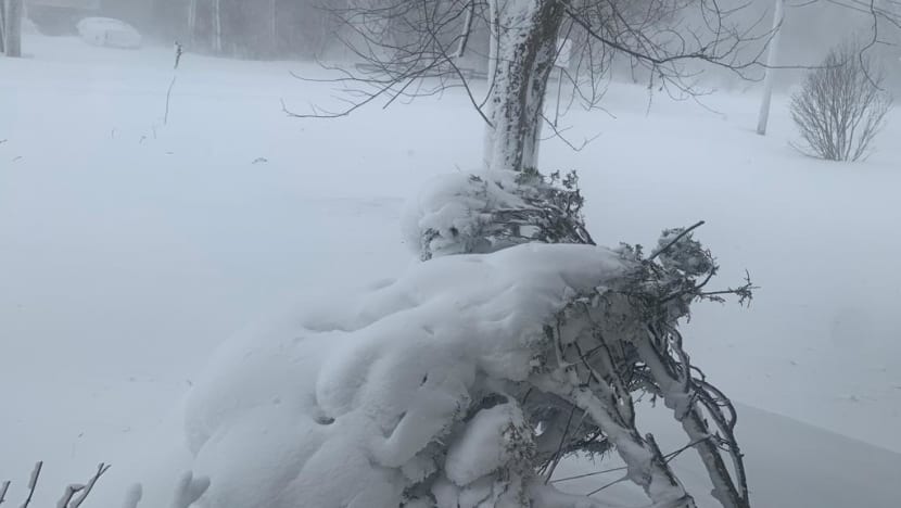 snow_2