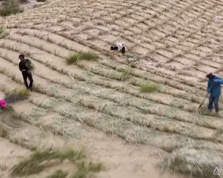 Growing fruits on desert lands? Inside China’s decades-long fight against desertification