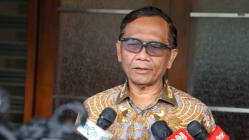 Related article image