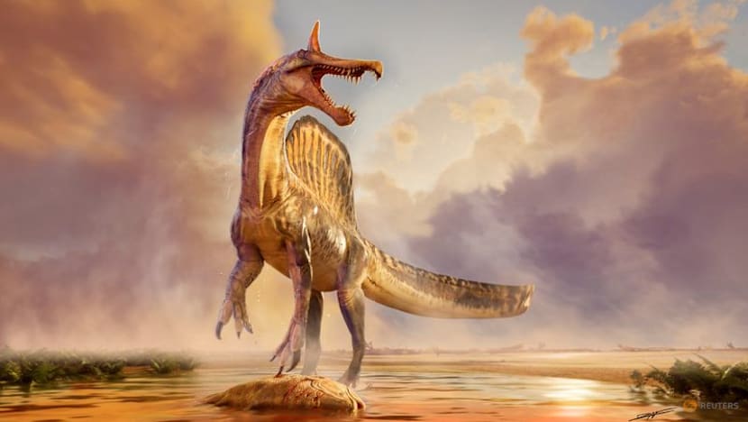 A Sahara desert odyssey yields a major dinosaur discovery