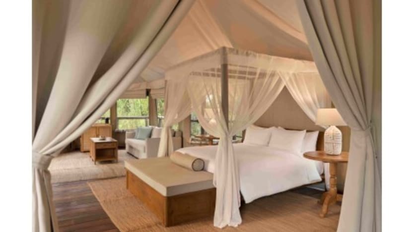 Dusit brings its ‘Tree of Life’ sustainability vision to Chiang Rai with management of Tantawan Tented Camp Dusit brings its ‘Tree of Life’ sustainability vision to Chiang Rai with management of Tantawan Tented Camp