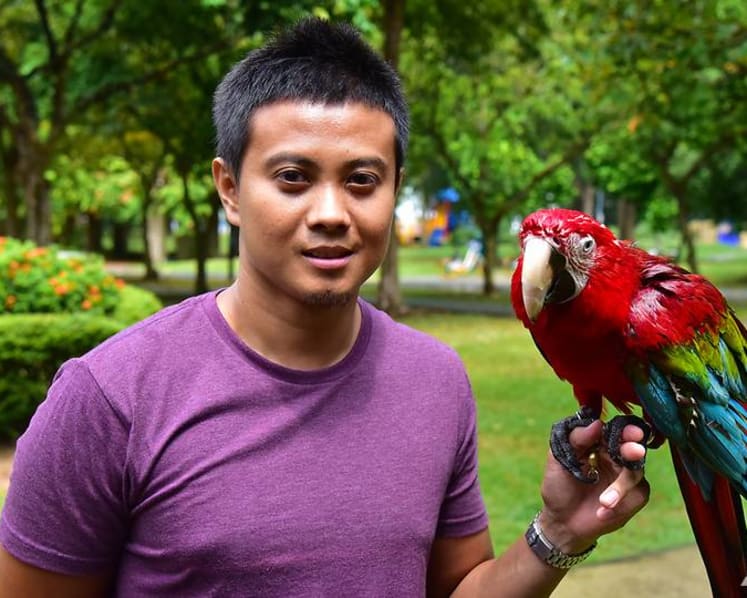 Flying high: The art of training birds to roam free takes off