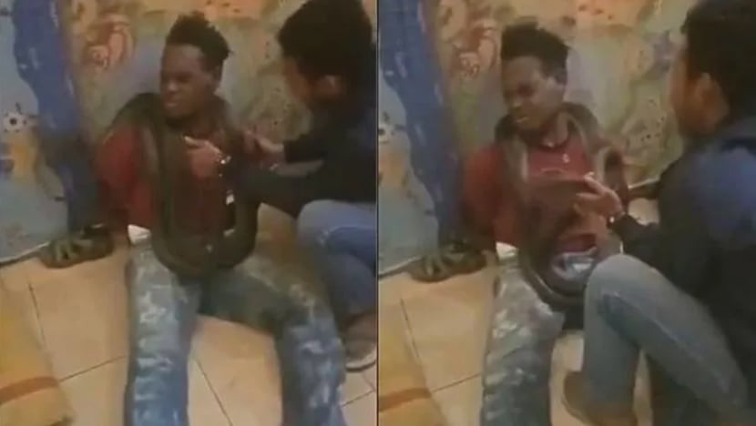 Pakar hak asasi PBB gesa Indonesia siasat guna ular semasa soal siasat di Papua