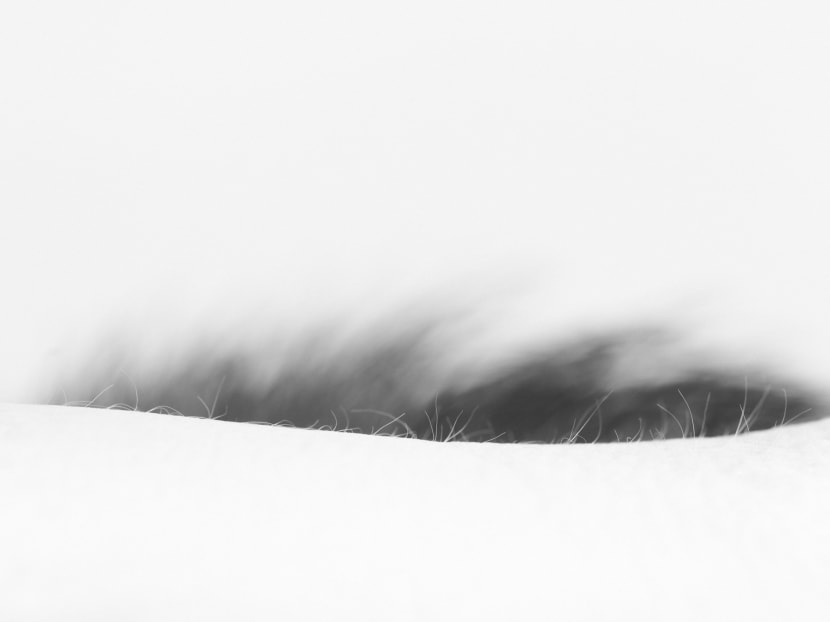 Top picks at the Singapore Biennale