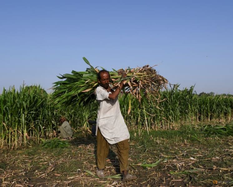 War in Iran threatens fresh food-price shock across developing world