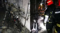 Related article image