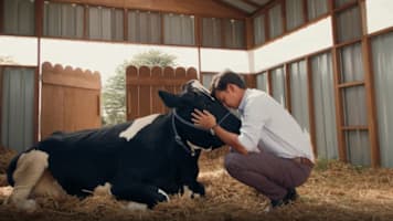 Mojoku Hilang! Review: This Feel-Good Malaysian Comedy About A Missing Cow Is Full Of Kampung Charm