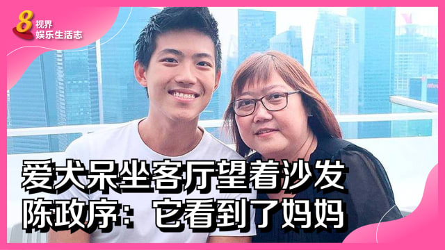 爱犬呆坐客厅望着沙发　陈政序：它看到了妈妈