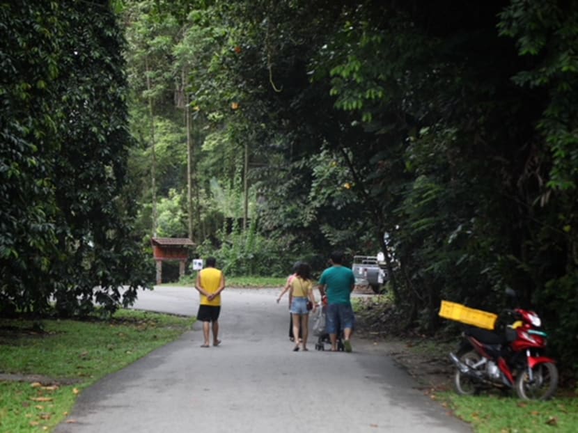File photo of visitors strolling in Pulau Ubin. Minister for Social and Family Development Desmond Lee said Singapore has not received any proposals from Malaysia to build a third link connecting east Johor to the island.