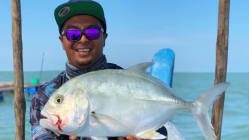 Related article image