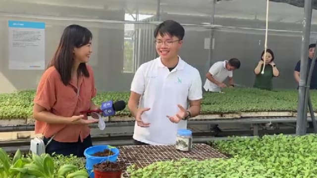 晨光|现场连线+：本地农场运用科技 提升农产品优势