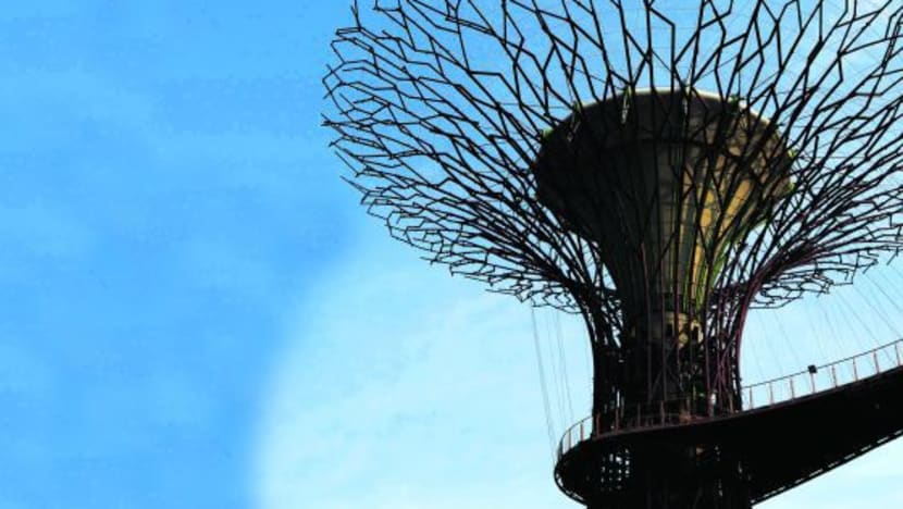 Carbon tax may be passed on to consumers, but impact modest: Experts