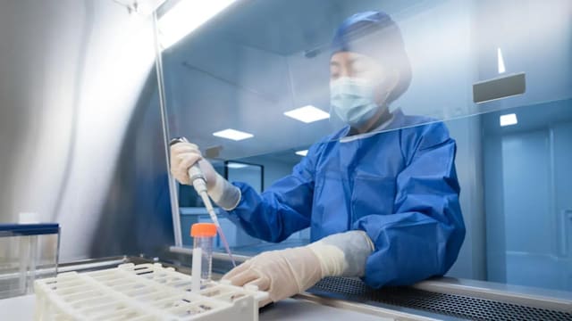 刚果伊波拉疫情恶化 英国加紧研发针对性疫苗