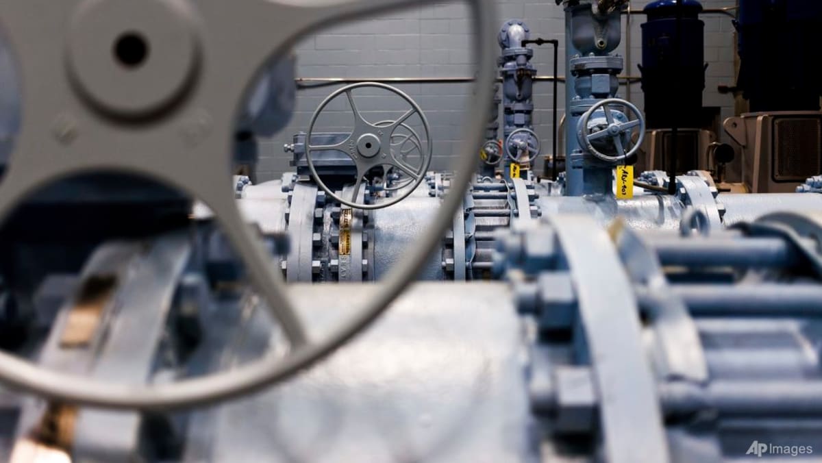 EU ban on ‘forever chemicals’ set for delay