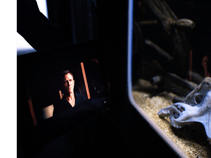 This Octopus Is Named Gamora And It Has A James Bond Obsession