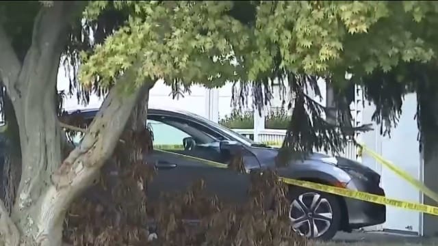 独留车内逾七小时 美国两岁女童高温中热死