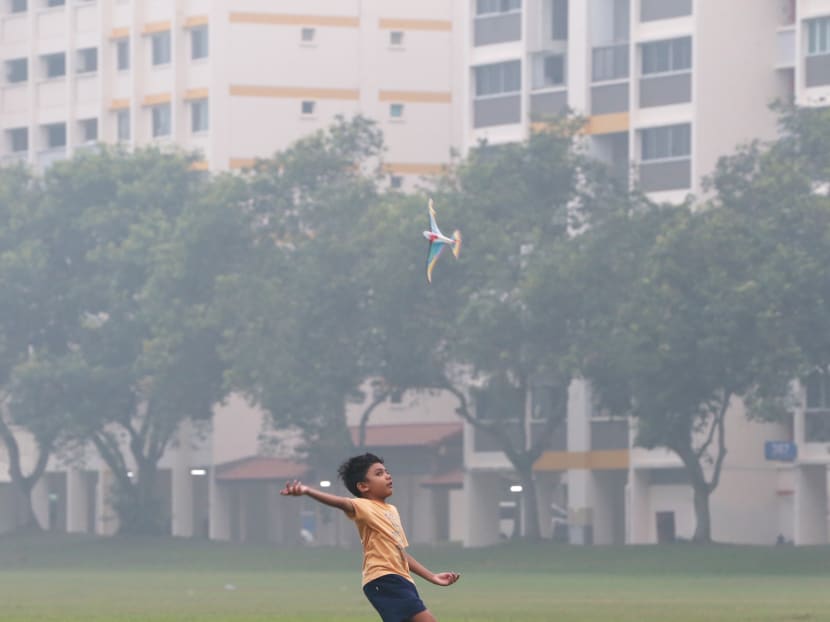 A boy was seen playing with a toy bird at a field along Yishun Ring Road in the haze at 6:10pm on Oct 23, 2015. TODAY file photo A boy was seen playing with a toy bird at a field along Yishun Ring Road in the haze at 6:10pm on Oct 23, 2015. TODAY file photo