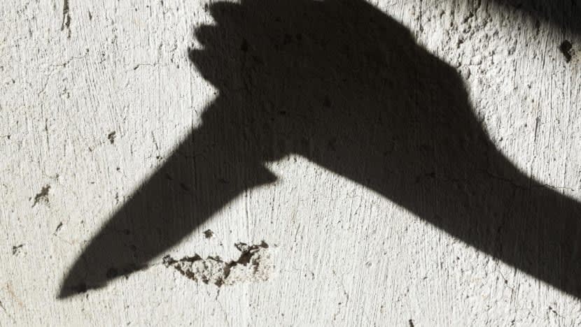 Lelaki dijel lebih 13 tahun; tikam pegawai jarak selamat NParks dalam serangan 'tidak berhati perut' 