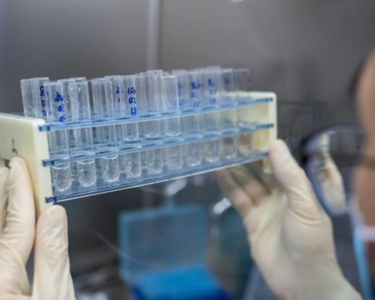 Indonesia starts phase 3 trial for COVID-19 vaccine, Sinovac reports phase 2 details