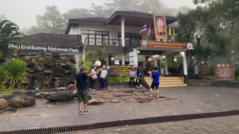 National park in Thailand closed after wild elephant kills visitor National park in Thailand closed after wild elephant kills visitor
