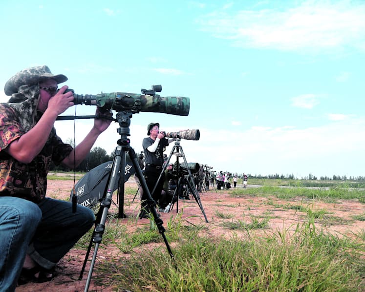 Nature under stress from photography boom