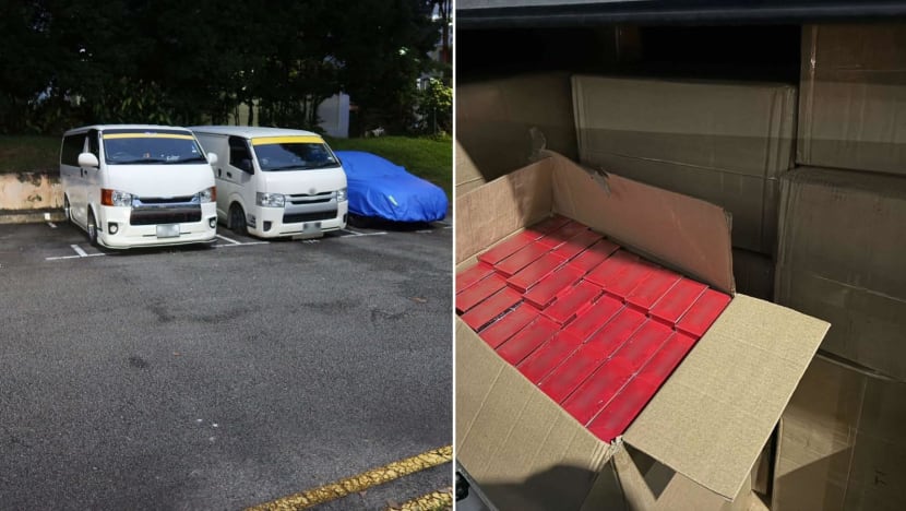2 suspects arrested for evading more than S$450,000 in duty and GST after contraband cigarettes found 2 suspects arrested for evading more than S$450,000 in duty and GST after contraband cigarettes found