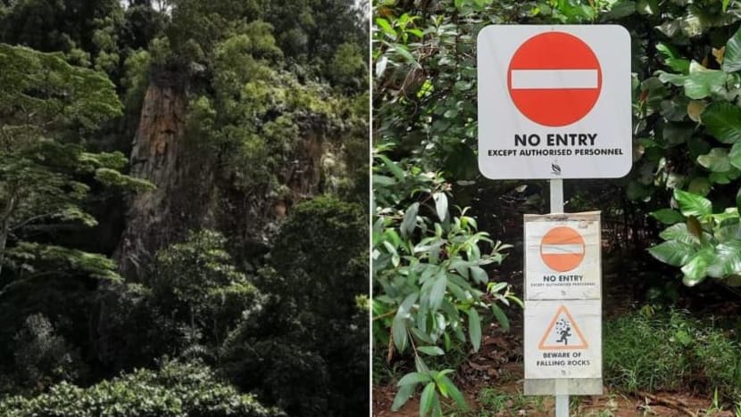 Pendaki kecewa dihalang masuk tembok batu Dairy Farm; NParks tekankan tapak berbahaya