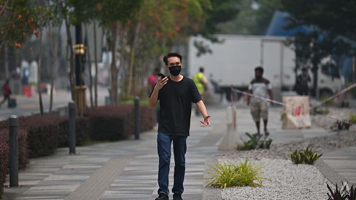 All schools in Johor to close for two days amid worsening haze