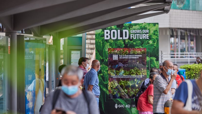 Seven bus stops transformed into urban farms; all vegetables to be donated to local charity kitchen Seven bus stops transformed into urban farms; all vegetables to be donated to local charity kitchen