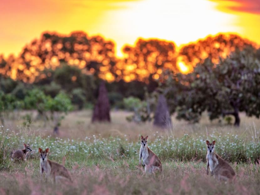 Licensed for fun in Australia’s Northern Territory